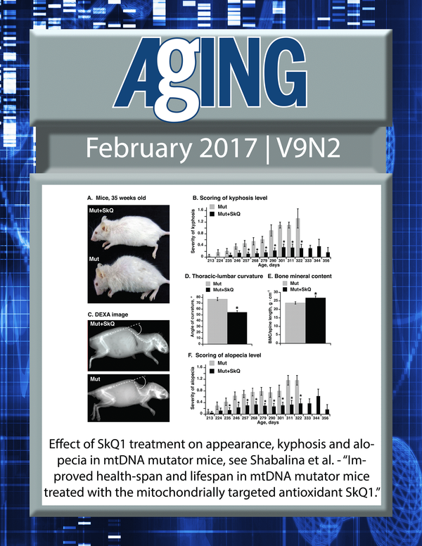 The cover for issue 2 of Aging features Figure 1, ''Effect of SkQ1 treatment on appearance, kyphosis and alopecia in mtDNA mutator mice" from Shabalina et al.