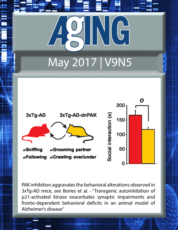 The cover for issue 5 of Aging features Figure 5D, ''PAK inhibition aggravates the behavioral alterations observed in 3xTg-AD mice" from Bories et al.
