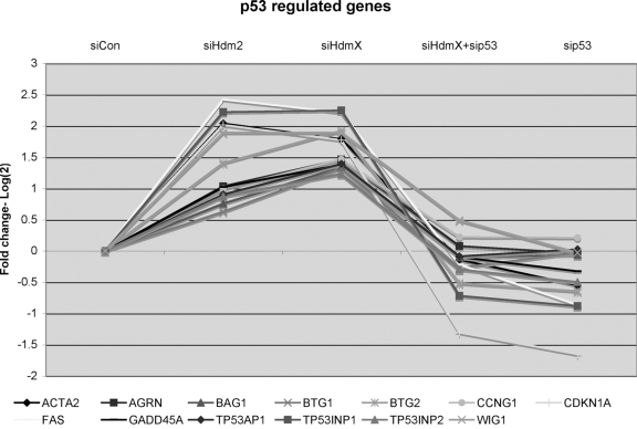 GeneChip expression of 13 known p53-regulated genes that were induced by knockdown of either siHdmX or siHdm2