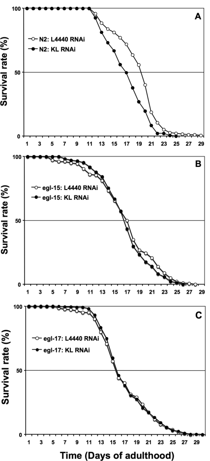 A genetic interaction between Klotho and the EGL-17/EGL-15 (FGFR) signalling pathway can positively modulate lifespan