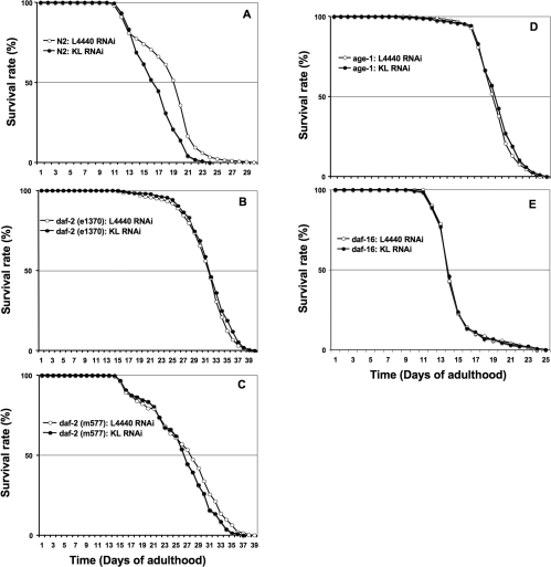 Klotho targets daf-2 gene activity and requires a functional daf-2/daf-16 genetic pathway for lifespan modulation