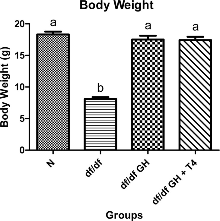 Body weight comparison of 8 week old female Normal mice (N, n=10), Ames dwarf mice (df/df, n=10), Ames dwarf mice treated with GH (df/df GH, n=10), and Ames dwarf mice treated with both GH and T4 (df/df GH + T4, n=8). Groups that do not share a superscript are different with statistical significance (p 