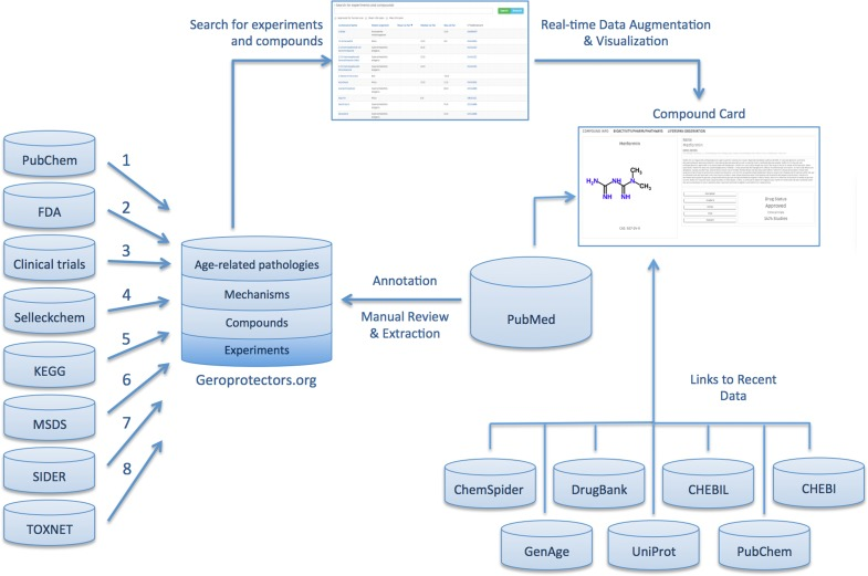 Illustration depicting the content, data sources, and user-directed flow of Geroprotectors.org.