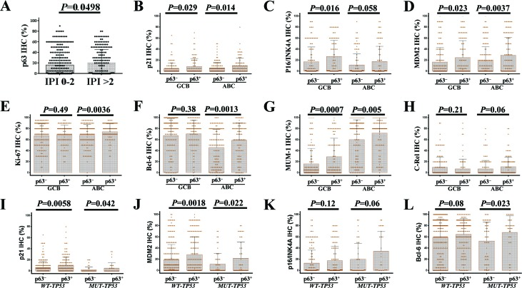 Correlations between p63 expression and other tumor associated factors