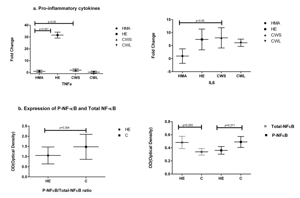 Fold change (±SD) in mRNA expression of (a) genes of the pro-inflammatory cytokines TNF and IL-6 in the Quadriceps muscle of C (all cancer patients), HE and HMA groups: HMA (n=22), HE (n=15), CWS (n=16), CWL (n=8). Fold-change of mRNA expression is relative to HMA participants. Statistical analysis was carried out on deltaCT values. Q-PCR shows upregulation of mRNA expression of TNF-α in HE (pb) illustrates protein analysis showing total NF-ĸB and pNF-ĸB in the Quadriceps muscle. Data are presented as P-NF-ĸB/total NFĸB ratio which was not significantly different for HE compared with C. The mean protein expression ± SEM were analysed for HE (n=8) and C (n=9) groups for P-NF-ĸB and C (n=9) and HE (n=9) groups for NF-ĸB. Neither total NF-ĸB nor pNF-kB were significantly different between the HE and C groups (p=0.291 and p=0.271 respectively).