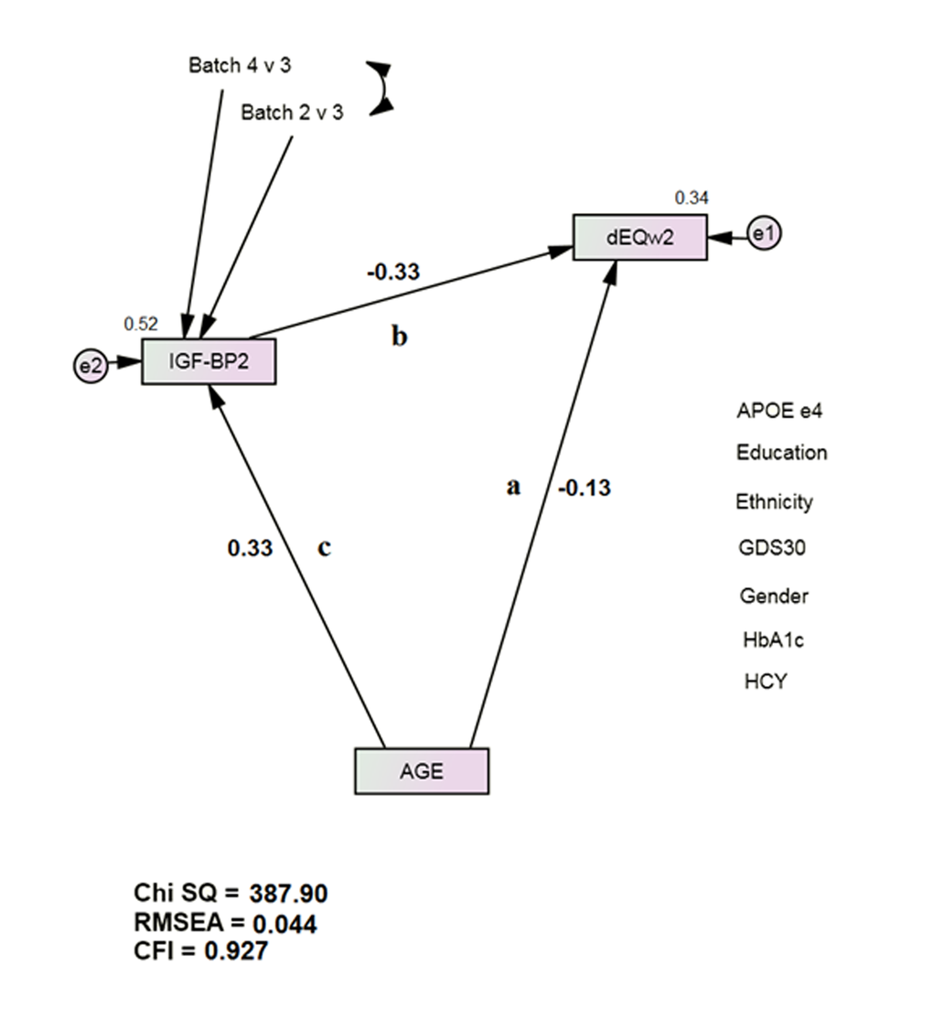 IGF-BP2 Mediates Age’s Direct Association with Future Dementia Severity, as measured by dEQ. APOE = apolipoprotein e4 status; CFI = Comparative Fit Index; GDS = Geriatric Depression Scale; HCY = serum homocysteine; HgbA1c = serum hemoglobin A1c; IGF-BP2 = Insulin-like Growth Factor Binding Protein 2; RMSEA = Root Mean Square Error of Association.*All observed variables except AGE are adjusted for APOE, education, ethnicity, gender, GDS, HCY, and HgbA1c (paths not shown for clarity). The covariates are densely intercorrelated.