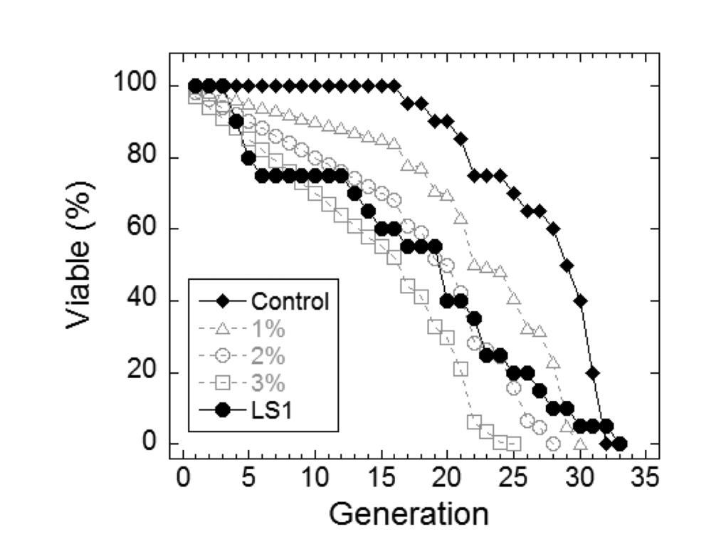 LS1 shortens replicative lifespan by standard microdissection assay. Microdissection in the presence and absence of 1µM LS1 was performed as described in Materials and Methods. LS1 treated (●) FY839 cells had an average lifespan of 16.1 generations, a 41.5% drop from the untreated sample (○). Graph shows combined data from two independent FY839 colonies. Superimposed over the experimental data are modeled data showing the effect on the lifespan of the untreated sample of adding 1% (∆), 2% (○) and 3% (□) non-age-related cell death/generation.