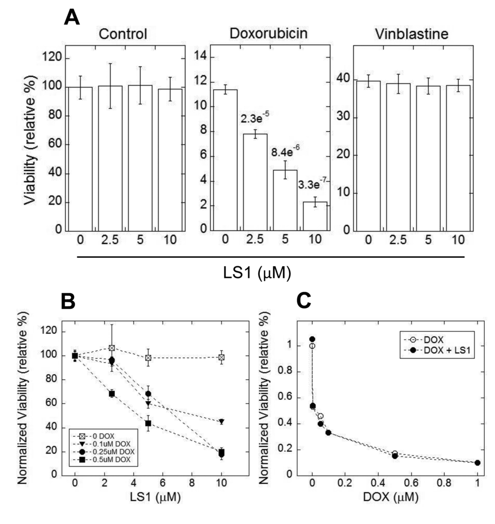 LS1 enhances doxorubicin killing of HT1080 fibrosarcoma cells. (A) Cytotoxicity was measured in HT1080 cells for LS1 (left panel), DOX (middle panel), or vinblastine (right panel). (B) LS1 enhances killing of HT1080 cells at several concentrations of DOX. Experiments were performed as in (A). (C) Effect of LS1 on a primary human foreskin fibroblast cell line HCA2T that has been immortalized by transformation with the catalytic subunit of telomerase. HT1080 and HCA2T cells were seeded at low density. After 24 hours, cells were treated with DMSO (vehicle control) or DMSO containing DOX at the indicated concentrations without or with 10µM LS1. DMSO and DOX data were based on the average of 6 biological replicates. Vinblastine data was based on three biological replicates. Average values and standard deviation of the mean are plotted where available. P-values determined by student t-test are shown for DOX.