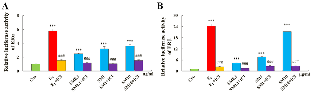Activity of SM on estrogen receptor ERα (A) and ERβ (B) -estrogen response element (ERE) luciferases reporter gene expression. Data are the mean ± standard deviation of quadruplicate analyses, expressed relative to that of treatment with 0.1% DMSO. P values are for one-way analysis of variance (ANOVA) comparing treatment groups with untreated mice. ***P ###p 2.