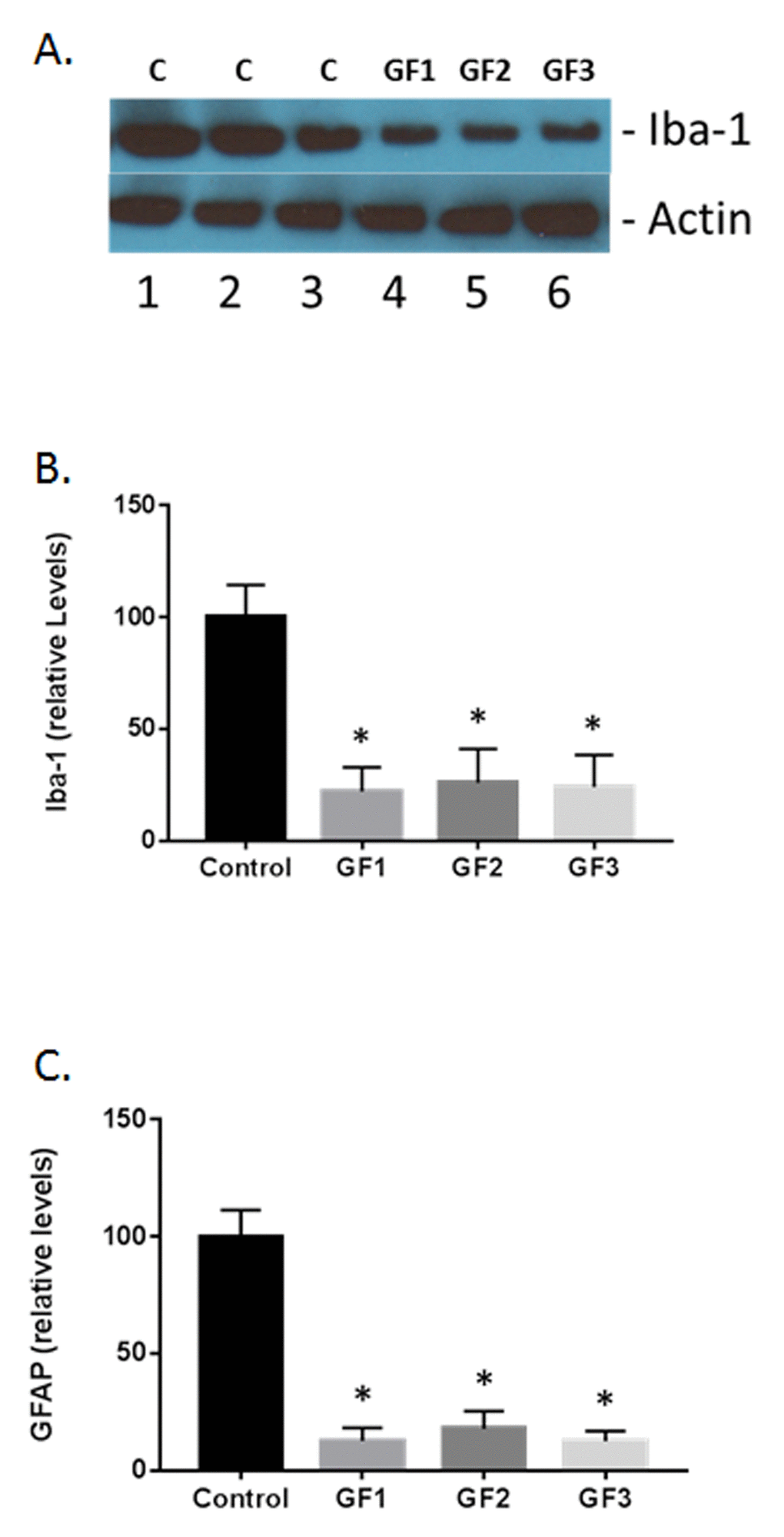 Measurement of glial activation in the aged brain and brains of animals fed GF diets. (A) Representative western blot of iba-1 levels in the brains of aged rats subjected to control or GF diets. C, control; GF1, GF2, GF3, GF diets. Actin is used as a control for loading. (B) Quantified levels of iba-1 in the brains of aged rats following feeding control diets or diets enriched with GF formulas. (C) Quantified levels of iba-1 in the brains of aged rats following feeding control diets or diets enriched with GF formulas. N = 20 per group. P