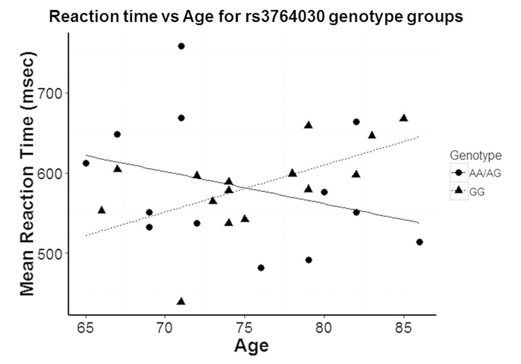 Reaction time in Experiment 1 participants with increasing age based on stratification by GG genotype and A allele carriers (AA and AG genotypes) group differences. A significant difference in the slopes of the regression lines was observed for A allele carriers (-3.99 ± SE 3.47) versus the GG genotype group (5.84 ± SE 2.28) (p = 0.026). R2 for GG regression was 0.336 while R2 for A allele carriers was 0.107.