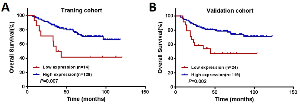 Kaplan–Meier curves of OS among patients with colorectal cancer. (A) The training cohort (n = 142). (B) The validation cohort (n = 143).