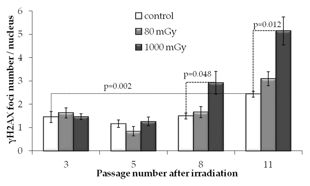 γH2AX foci numbers depending on the passage number in control and irradiated MSCs. Mean values derived from at least three independent experiments are shown. Error bars show SE.