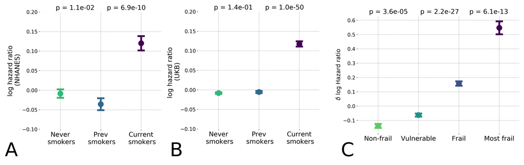 Hazards ratio model distinguished low and high-risk populations and hazardous lifestyles. The effect of unhealthy lifestyle such as smoking caused reversible effect on estimated hazards ratio in the NHANES (A) population and the UK Biobank (B) datasets; (C) Distribution of logarithm of estimated hazards ratio in frailty cohorts shown by median ± standard error of mean (S.E.M.). “Frail” and “most frail” cohorts are stratified on the basis of the respective Frailty Index (FI) values computed according to [2] and are characterized by significant difference in the predicted log-mortality.