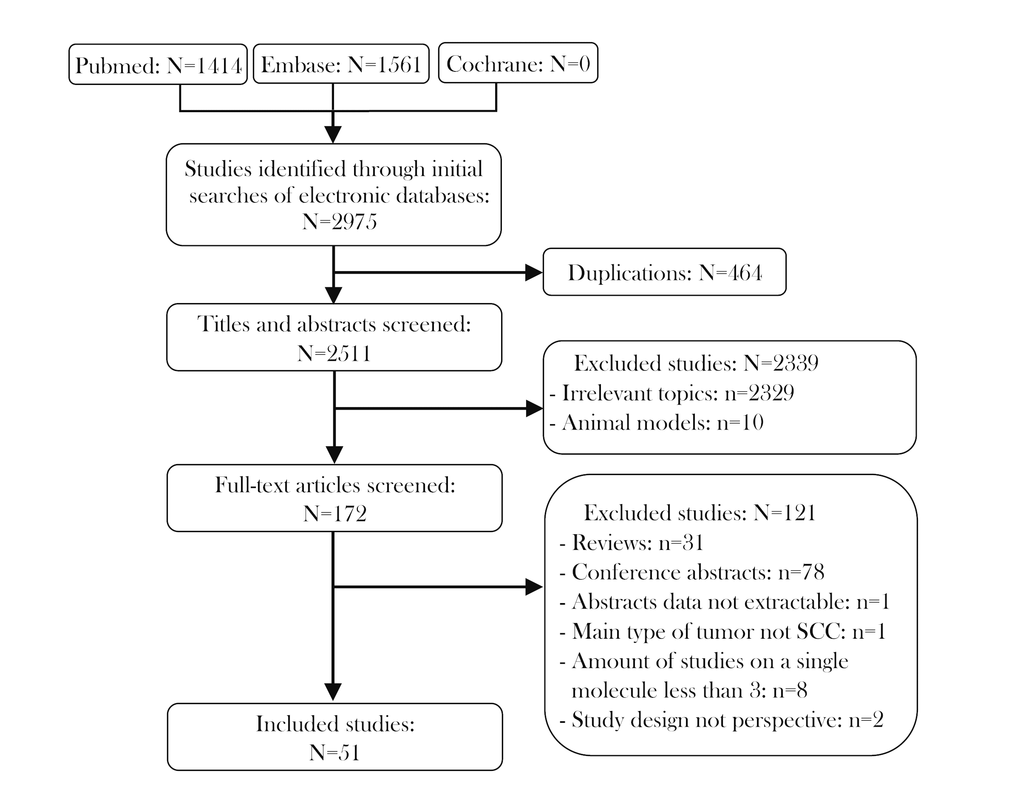 Flow diagram of studies identified, included and excluded.