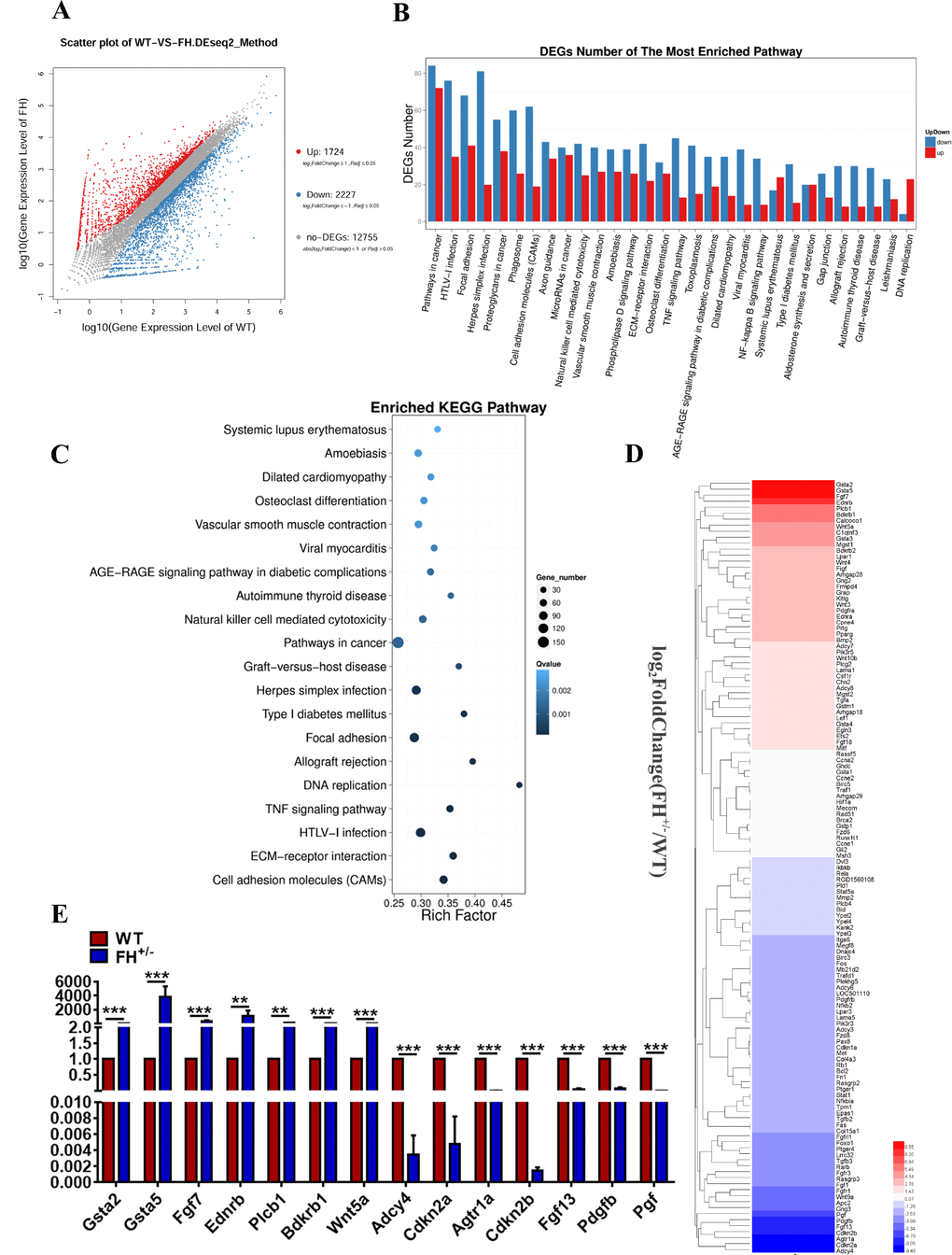 Results of transcriptome sequencing