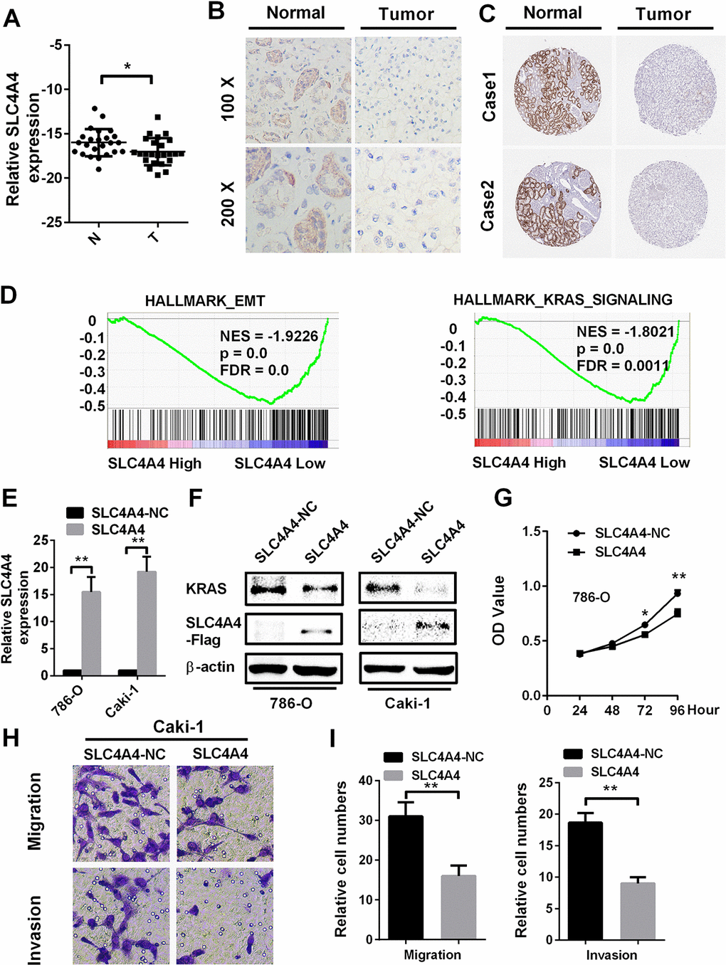 SLC4A4 overexpression inhibits cell proliferation, migration and invasion in vitro