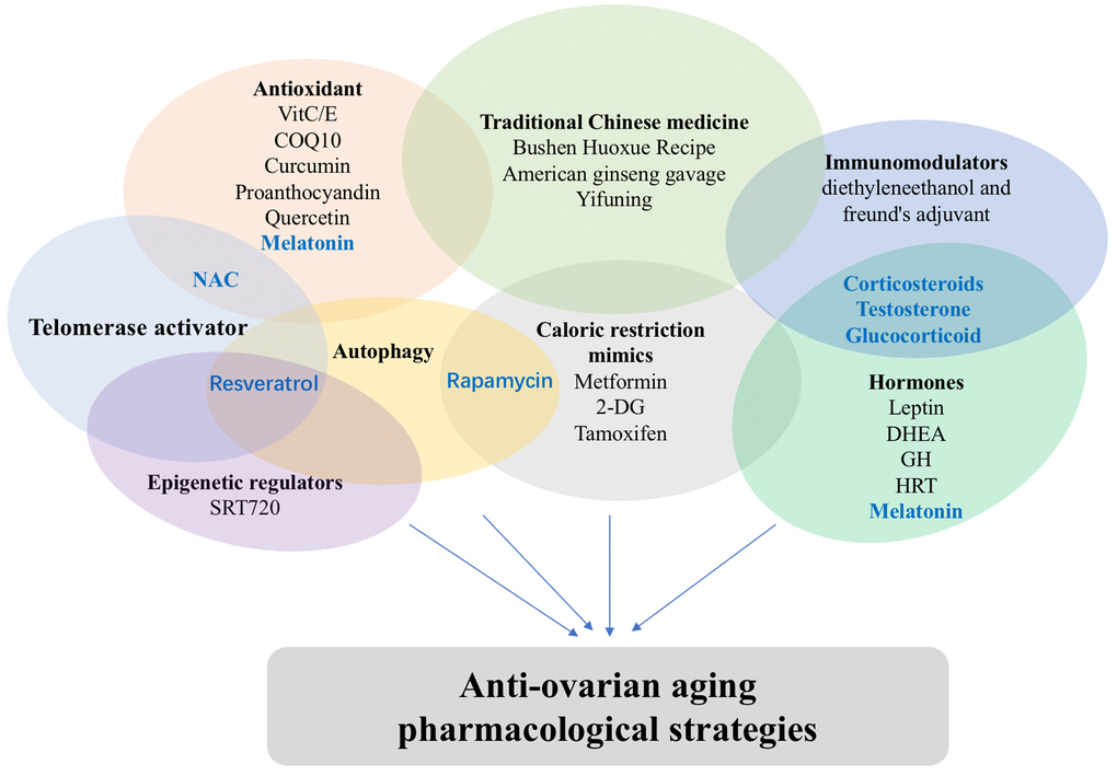 Classification of anti-ovarian aging drugs. Some drugs may have several pharmacological actions.