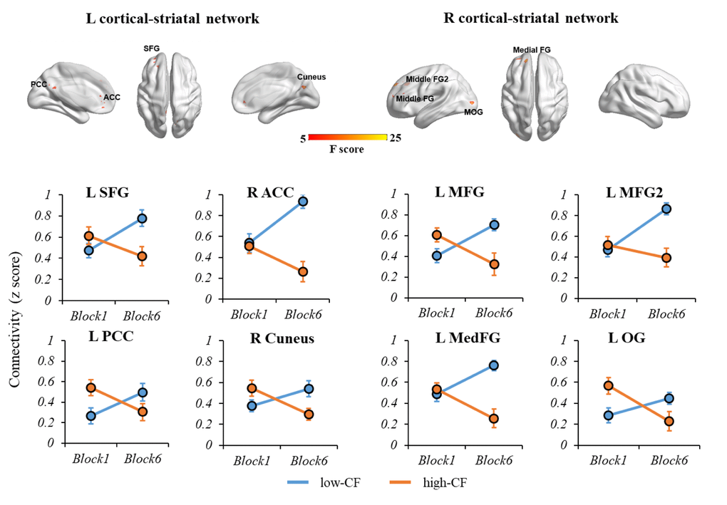 The interaction effects of CF subgroup and task block on left and right cortical-striatal network connectivity. For the left cortical-striatal network, there were significant differences of connectivity change in L SFG, R ACC, L PCC and R Cuneus. For the right cortical-striatal network, there were significant differences of connectivity change in L MFG, L MFG2, L MedFG and L OG. During the fatiguing tasks, the connectivity strength of cortical-striatal network increased in low-CF group, while deceased in high-CF group. Note: L, left; R, right; SFG, superior frontal gyrus; ACC, anterior cingulate cortex; PCC, posterior cingulate cortex; MedFG, medial frontal gyrus, MFG, middle frontal gyrus; OG, occipital gyrus. CF, cognitive fatigue.