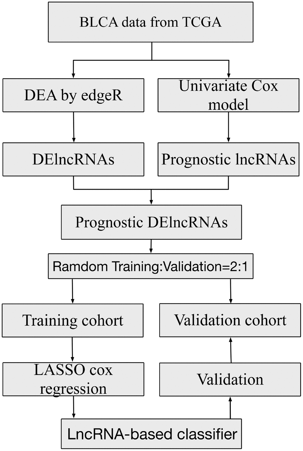 Study flowchart showing steps involved in construction of lncRNA-based prognostic signatures.