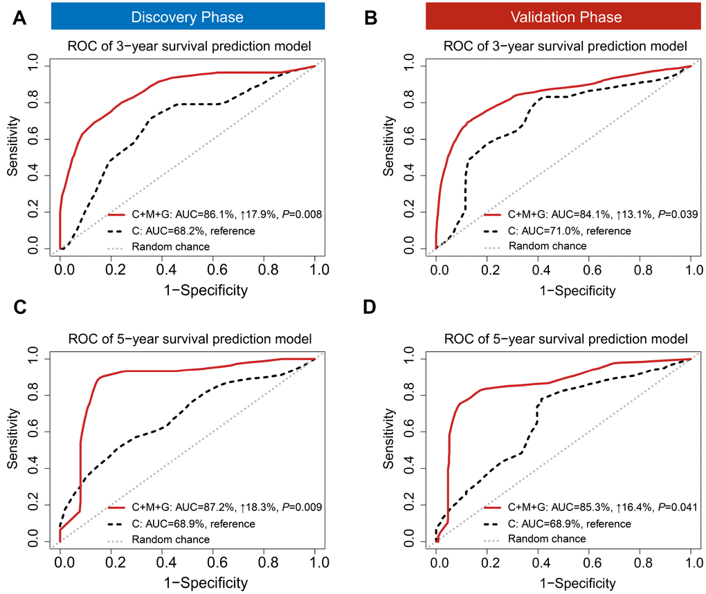 Time-dependent receiver operating characteristic (ROC). ROC was used to evaluate the performance of prognostic models for 3-year (A) and 5-year (B) overall survival prediction in the discovery phase. ROC also was used to evaluate the performance of prognostic models for 3-year (C) and 5-year (D) overall survival prediction in the validation phase. C: clinical model; C+M+G: clinical, DNA methylation, and gene expression model.