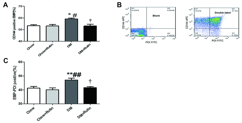 PDI was carried by EMPs, and the contents of CD144-positive EMPs and EMP-PDI in the plasma were increased in the diabetic group. (A) The content of CD144-positive EMPs in the plasma of diabetic mice was increased; (B) Dual-color flow cytometry was used to show that PDI is carried by the particles in endothelial cells; (C) The content of EMP-PDI in the plasma of diabetic mice was increased;*P #P ##P ###P †P ††P ‡P  (n = 5–11). Data were analyzed using one-way ANOVA.