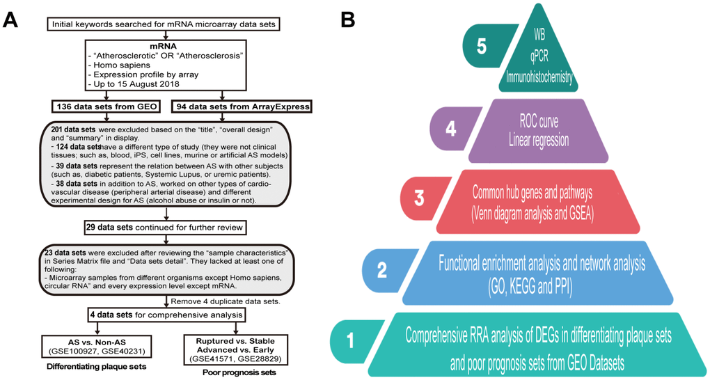 Dataset selection flow chart and analysis processes. (A) In total, 136 datasets from Gene Expression Omnibus (GEO) and 94 datasets from ArrayExpress were evaluated. Finally, 4 datasets for mRNAs were selected for inclusion in the comprehensive analysis. (B) The present study consisted of 5 steps, and the results of the analysis were finally validated on clinical samples.