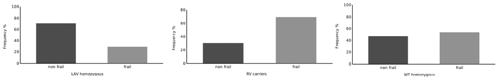 Distribution of RV carriers, LAV Homozygous and WT Homozygous subjects across the groups defined by cluster analysis.