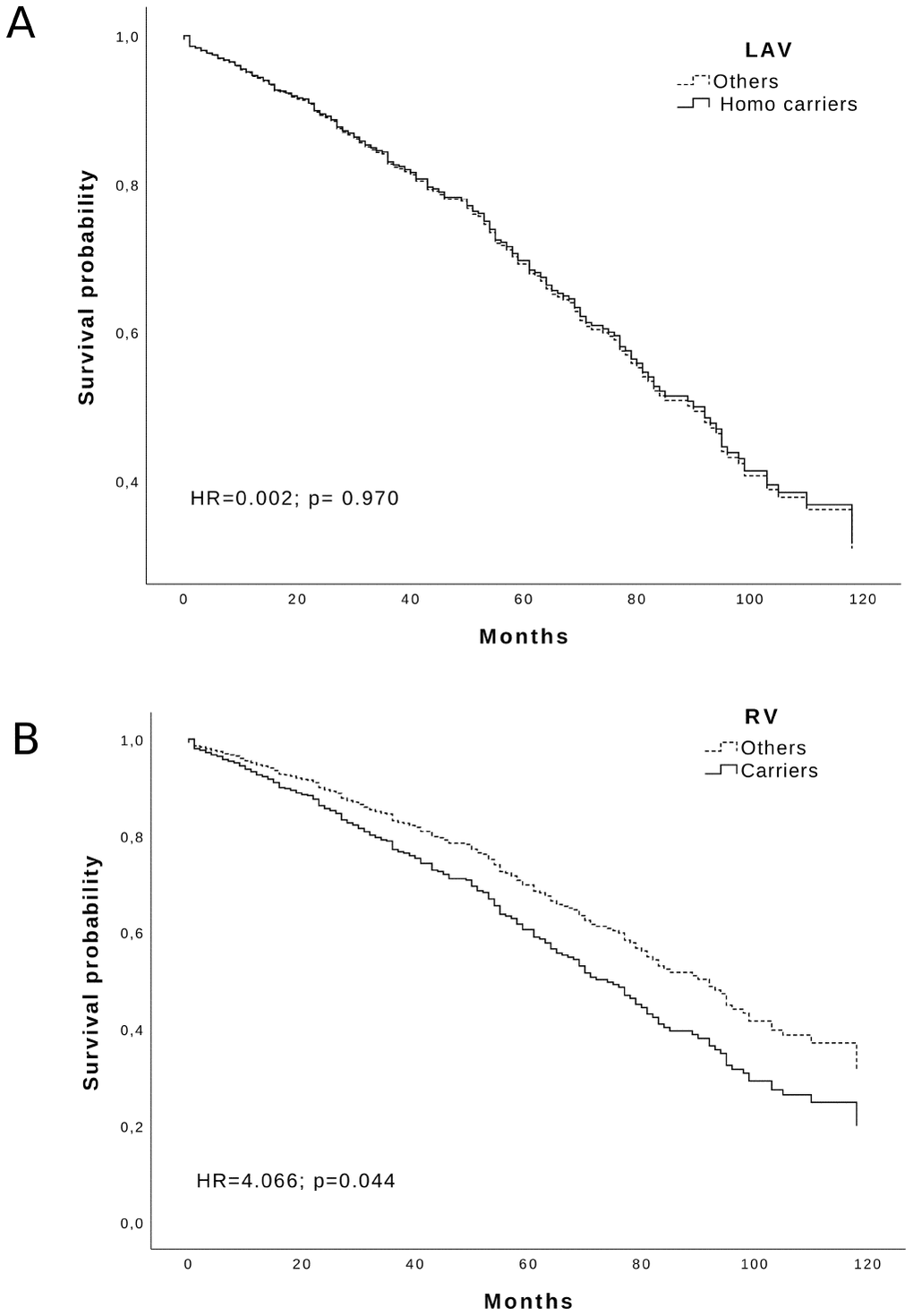 Survival function of: (A) LAV Homozygous carriers and (B) RV carriers (solid line) vs others (dotted line) in the Calabria cohort. Time is expressed in months, where 0 is considered the time of recruitment, and each individual is followed up for survival status till death. Adjusted HR and p-values are reported inside the Figure.