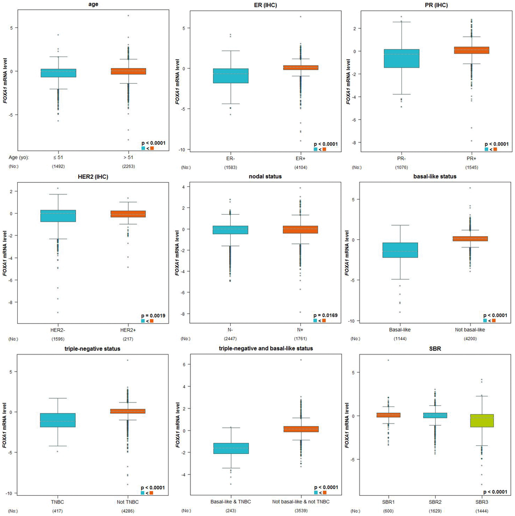 Genetic alterations in FOXA1 and clinicopathological parameters. Based on clinical pathology parameters, the expression profile of FOXA1 was expressed in the PAM50 breast cancer subtype using 5861 patients in bc-GenExMiner 4.0. A globally significant difference between the groups was assessed by Welch's t-test to generate p-values, as well as the Dunnett-Tukey-Kramer test.