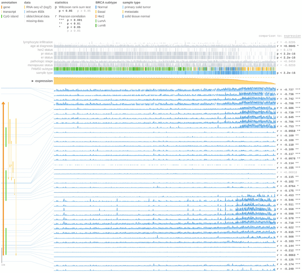 FOXA1 expression and methylation status in breast cancer using MEXPRESS tool. At the top of the figure, clinical TGCA data is displayed and classified according to FOXA1 expression. On the right side, the Pearson’s correlation coefficient r and p values for Wilcoxon rank-sum test are displayed. The FOXA1 expression is represented by the orange line in the center of the graph. According to the expression of FOXA1, the highest expression was found on the left side and the lowest on the right side. The blue lines (lower right) represent the Infinium 450 k probes linked to FOXA1. FOXA1 gene and CpG islands (green lines) are displayed on the left side (bottom).