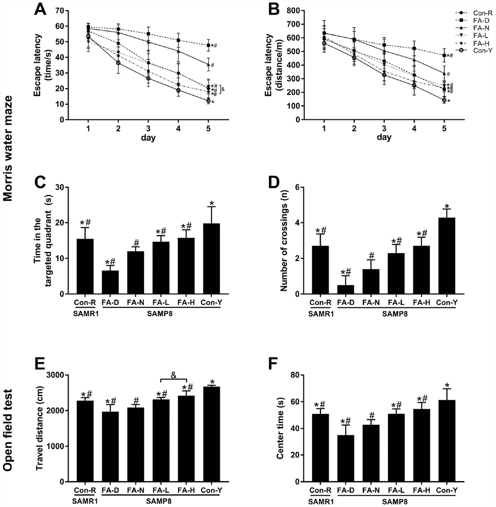 FA supplementation improved cognitive performances in SAMP8 mice. Mice were assigned to treatment groups as described in Figure 1. Cognitive performances were evaluated by the Morris water maze (MWM) (A–D) and open field (OF) (E–F) tests. Escape latency indicated in time [Ftime = 383.018, PFtreatment = 56.650, PA) and distance [Ftime = 363.834, PFtreatment = 27.208, PB) during the spatial acquisition phase of the MWM test. Time in the targeted quadrant [F(5,54) = 26.253, PC) and number of crossings [F(5,54) = 59.071, PD) during the spatial probe phase of the MWM test. (E) Total travel distance that the mouse moved in the OF test [F(5,54) = 48.038, PF) Time spent in the center of the OF [F(5,54) = 25.850, PP#P&P