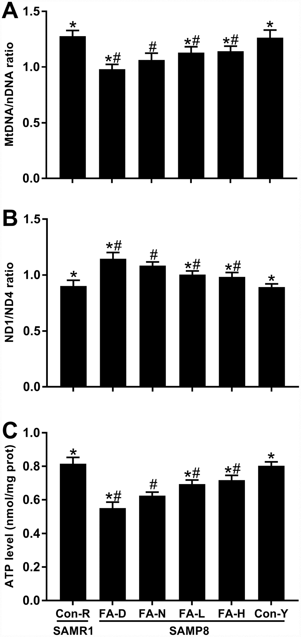 FA supplementation improved mitochondrial biogenesis and function in brain of SAMP8 mice. Mice were assigned to treatment groups as described in Figure 1. (A) Relative mitochondrial DNA copy number indicated by mtDNA/nDNA ratio [F(5,54) = 43.946, PB) Mitochondrial DNA deletions indicated by ND1/ND4 ratio [F(5,54) = 59.644, PC) Mitochondrial function indicated by ATP level [F(5,54) = 123.771, PP#P