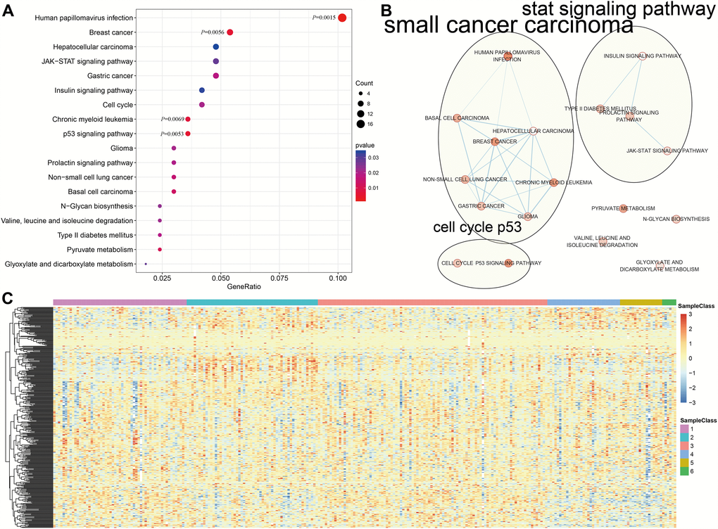 Gene annotations of 356 methylated sites. (A) KEGG function enrichment analysis of annotated genes for the 356 CpG sites. (B) Crosstalk analysis of the enriched KEGG pathways using Enrichment Map Cytoscape plugin. (C) Cluster analysis heat map for annotated genes associated with the 376 CpG sites.