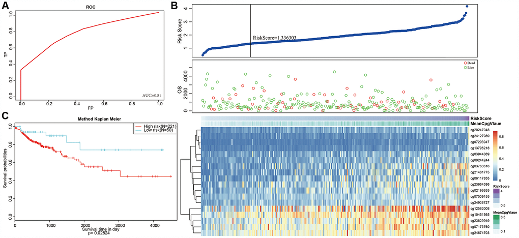 Methylation sites may predict prognosis in colon adenocarcinoma. (A) Reclustered samples with hierarchical analysis separated into hypomethylation and hypermethylation groups. (B) Analysis of prognostic differences between hypomethylation and hypermethylation groups.
