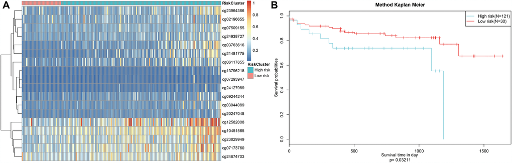 Construction of the prognosis prediction model for training set colon adenocarcinoma patients. (A) ROC curves of prognostic predictors in colon adenocarcinoma patients. (B) The horizontal axis represents the samples, and the vertical axis represents risk scores (top), overall survival (middle), and methylation site (bottom). (C) Analysis of prognostic differences after classification in the training set.