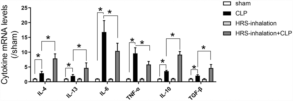 Aerosol inhalation of an HRS increased M2 macrophage-associated anti-inflammatory cytokine levels and reduced M1 macrophage-associated pro-inflammatory cytokine levels in septic kidneys. Renal tissue mRNA expression of Il-4, Il-13, Il-6, Tnf-α, Il-10 and Tgf-β. n=6 per group. Data are shown as the mean ± SEM. Significance was calculated by one-way ANOVA with Tukey’s post hoc test, *: P.