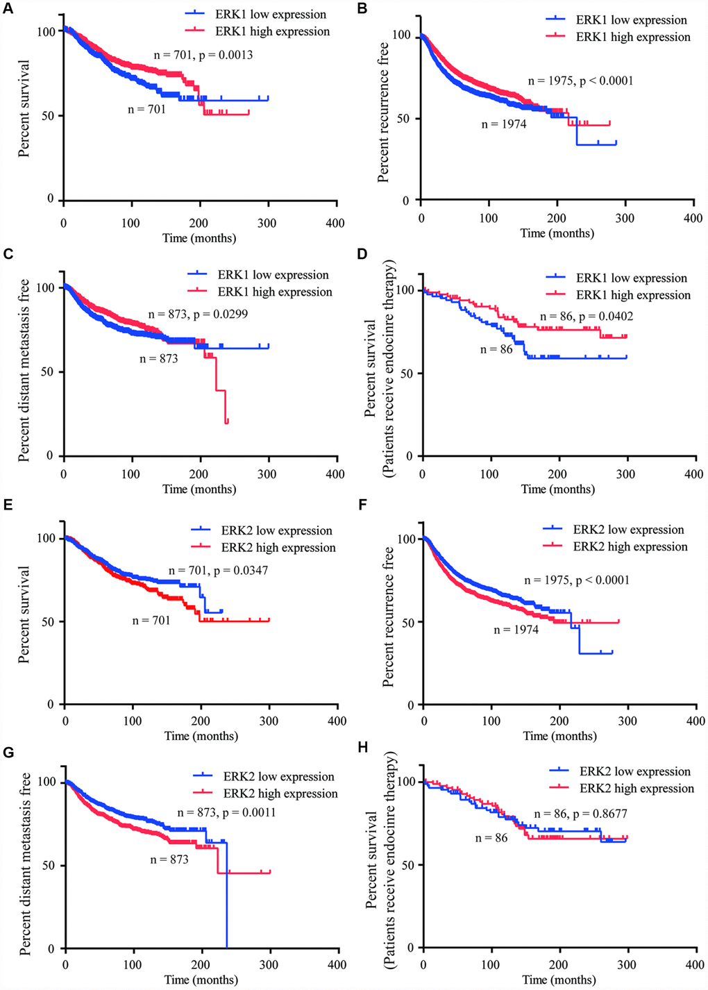 ERK1 and ERK2 expression were associated with distinct prognostic features of breast cancer. (A–C) Kaplan-Meier Plotter analysis indicated that high expression of ERK1 was associated with prolonged OS, recurrence and DMFS in patients with breast cancer. (D) Kaplan-Meier Plotter analysis indicated that high expression of ERK1 was associated with prolonged OS in patients receiving endocrine therapy. (E–G) Kaplan-Meier Plotter analysis showed that the high expression of ERK2 was associated with poor OS, recurrence and DMFS in patients with breast cancer. (H) Kaplan-Meier Plotter analysis indicated that high expression of ERK2 was not associated with OS in patients receiving endocrine therapy.