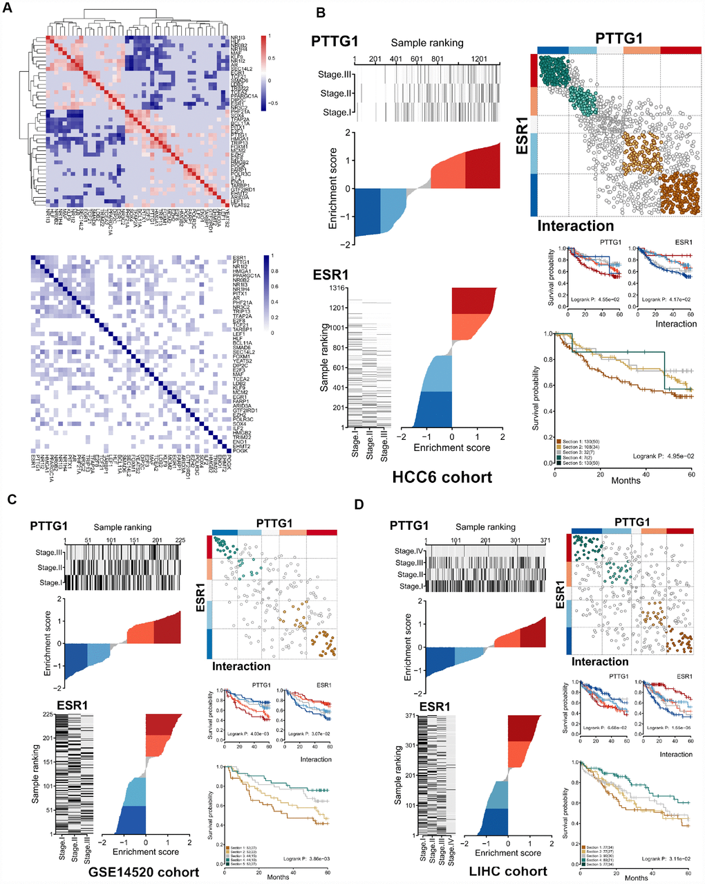 Differential expression effects of MR interactions on shared target genes. (A) Upper panel: Heatmap of gene expression correlation for targets shared by the 44 MRs (HCC6). Lower panel: Hierarchical clustering based on jaccard similarity coefficients (shades of blue) computed among 44 regulons. (B) Interaction of ESR1-PTTG1 pair in the HCC6 cohort. The dES of ESR1 and PTTG1 are shown. On the right upper panel, a cartoon depicts the observed interactions between ESR1 and PTTG1 targets, with brown circles indicating co-activation, and green circles denoting co-repression. Targets are shown in grey if the two MRs have opposing effects. Assuming ESR1 and PTTG1 interaction, survival outcomes for the ESR1 regulon, the PTTG1 regulon, and both interacting regulons are depicted (C, D).