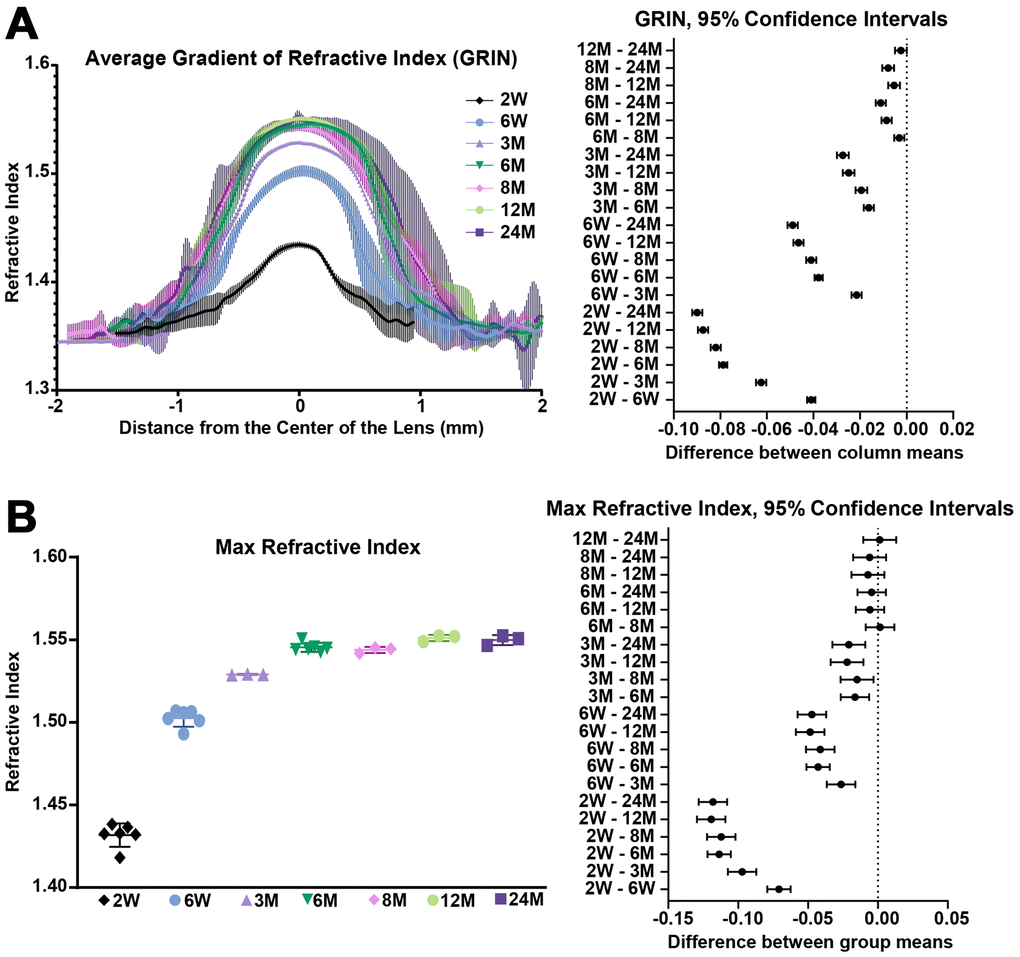 Average GRIN profiles along the visual axis and maximum refractive index in lenses from mice between 2 weeks to 24 months of age. Lines on the plots reflect mean ± SD of n = at least 3 lenses from different mice per age. The graph next to the data plots shows the 95% confidence interval. Any comparisons not crossing the dotted line are statistically significant (p A) Average GRIN profiles increased in magnitude until about 6 months of age and then remained relatively unchanged with age. There is a statistically significant difference between profiles of different ages, except between the 12 months and 24 months profiles. (B) Max refractive index is ~1.55 in mouse lenses. Maximum refractive index rapidly increases until 6 months of age and then remains steady after 6 months of age.