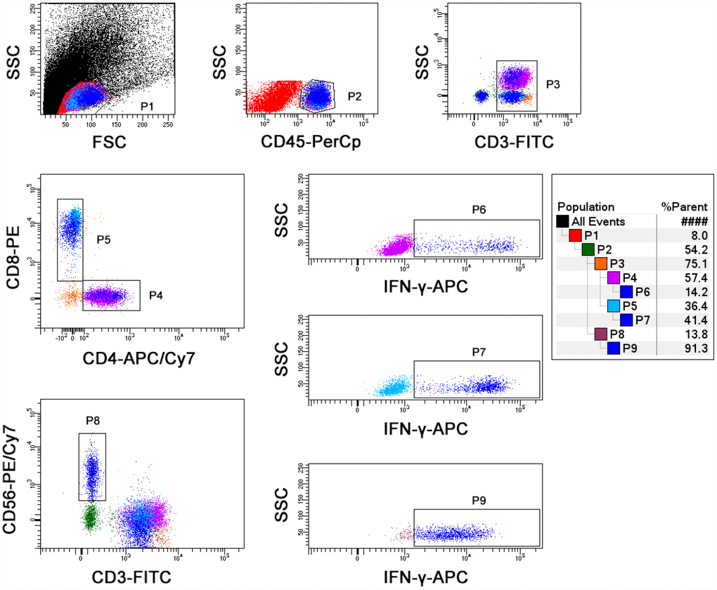 The final flow analysis template of lymphocyte function assay. Diluted whole blood was stimulated with Leukocyte Activation Cocktail for 4 h. Representative flow plots showing the gating strategies of IFN-γ+ cells in CD4+, CD8+ T cells, and NK cells.