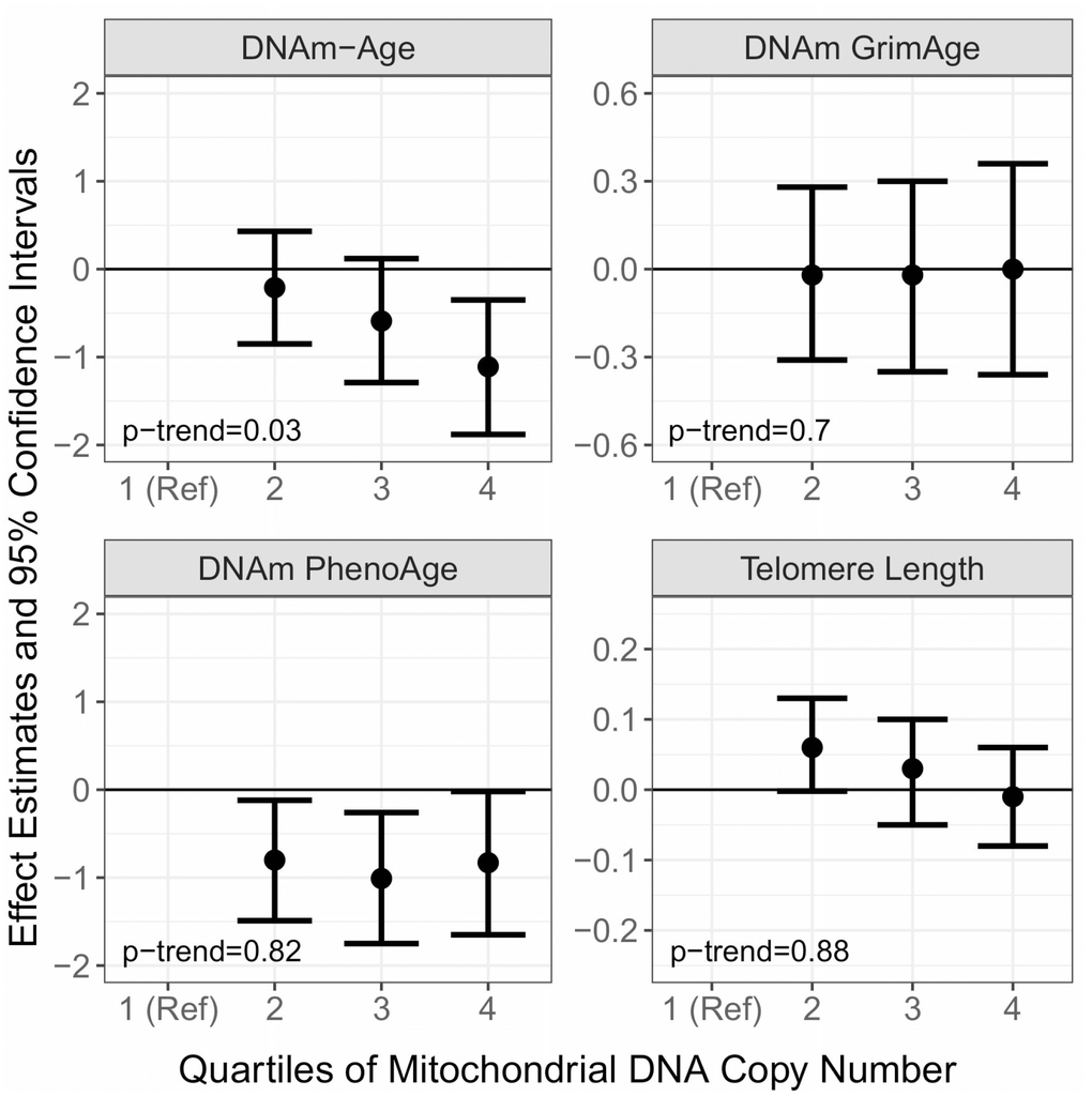 Cross-sectional associations of Mitochondrial DNA Copy Number (mtDNAcn) with DNA Methylation Age (DNAm-Age), DNAm-PhenoAge, DNAm-GrimAge, and Telomere Length. The effect estimates (β) and corresponding 95% confidence intervals were estimated with linear mixed models adjusted for chronological age, smoking, alcohol use, BMI, hypertension status, CHD status, diabetes status, blood cell type composition, and follow up time.