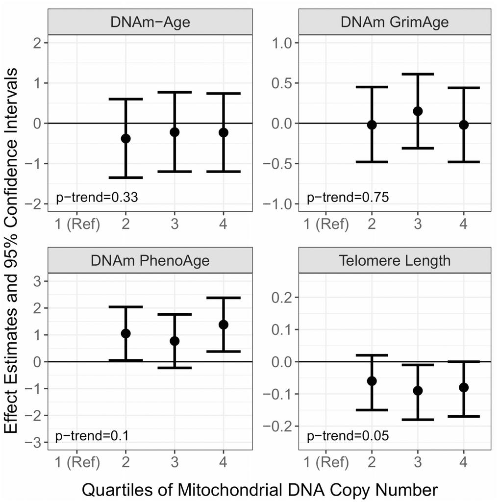 Associations of baseline Mitochondrial DNA Copy Number (mtDNAcn) with prospective measures of DNA Methylation Age (DNAm-Age), DNAm-PhenoAge, DNAm-GrimAge, and Telomere Length. The effect estimates (β) and corresponding 95% confidence intervals were estimated with linear mixed models adjusted for chronological age, measure at baseline, smoking, alcohol use, BMI, hypertension status, CHD status, diabetes status, blood cell type composition, and follow up time.