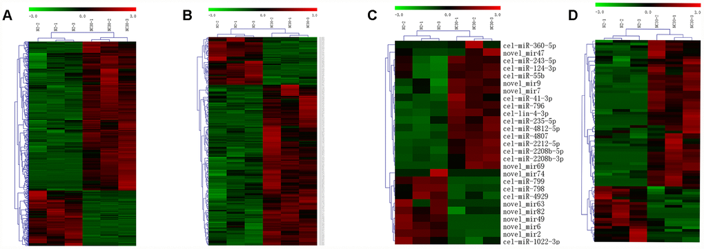 Influences of variation in COX1 on mRNA, lncRNA, circRNA and miRNA expression profiles. Heatmaps of the differentially expressed (A) mRNAs, (B) lncRNAs, (C) circRNAs, and (D) miRNAs in between CN30 and N2 worms. The data are depicted as matrices in which each row represents one mRNA, lncRNA, miRNA, or circRNA and each column represents one of the worm samples. Relative mRNA, circRNA, miRNA, or lncRNA expression is depicted according to the color scale shown at the top. Red and green colors represent relatively high and low expression values. The magnitude of deviation from the median is represented by color saturation.