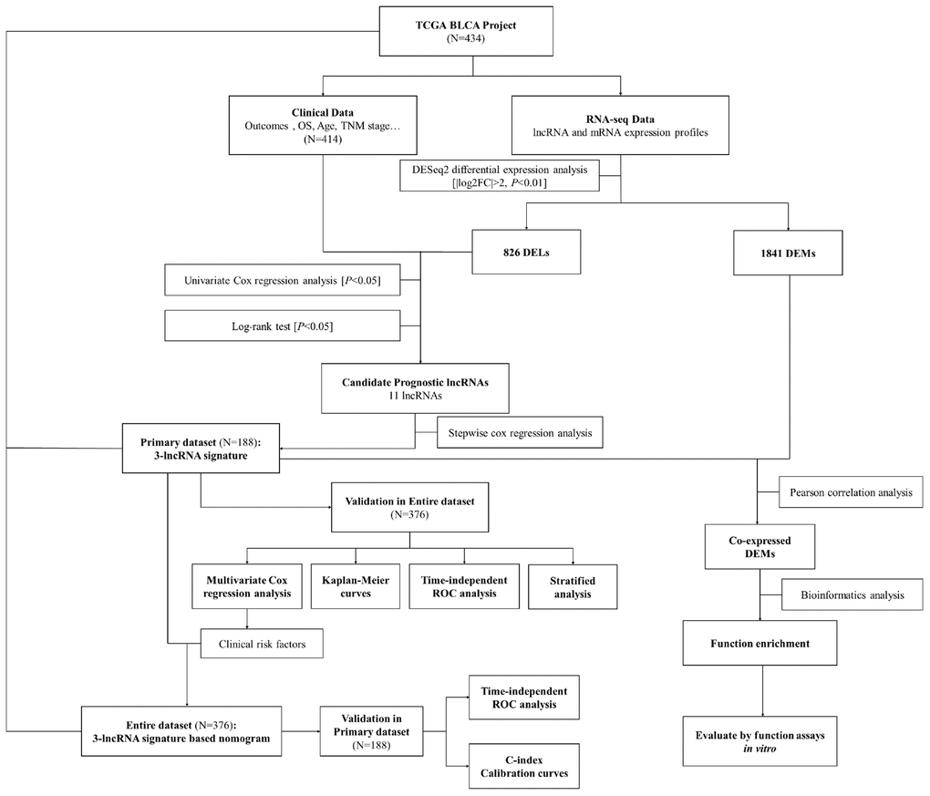 Flowchart of this study.