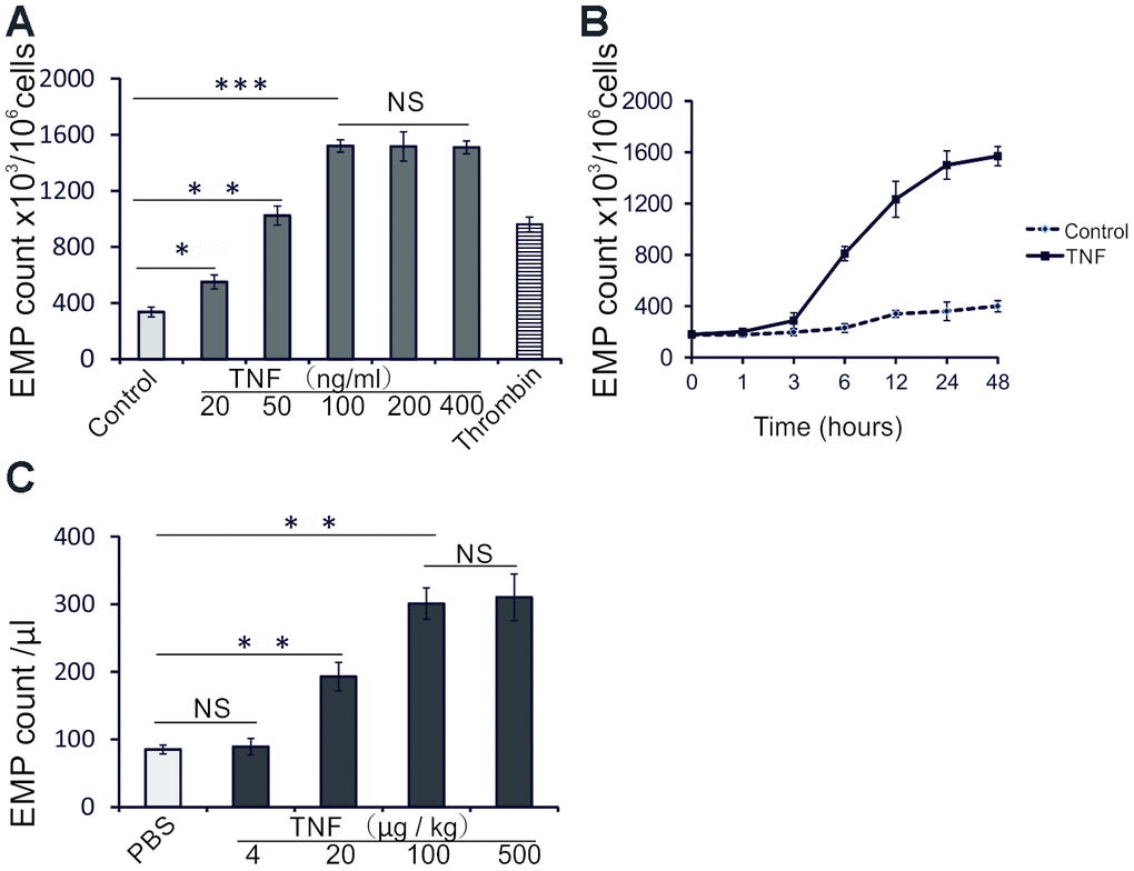 TNF induces EMP release in vitro and in vivo. (A) EMP release analyzed by flow cytometry (FC) in HUVECs treated 24 h with increasing TNF concentrations, or thrombin (2 IU/ml). The data represent the mean values based on 1x106 cells; three independent experiments were performed. (B) EMP release analyzed by FC in untreated HUVECs, or HUVECs treated with 100 ng/ml TNF for indicated times. The data represent the mean values of EMP per 1x106 cells from three independent experiments. (C) EMP release analyzed by FC in sera of TNF-treated mice. Male C57BL/6 mice (10 weeks old) were randomly assigned to 5 groups (n=10 mice per group) and treated with PBS or increasing doses of TNF for 24 hours. The data represent the mean values of EMP/μl; * P