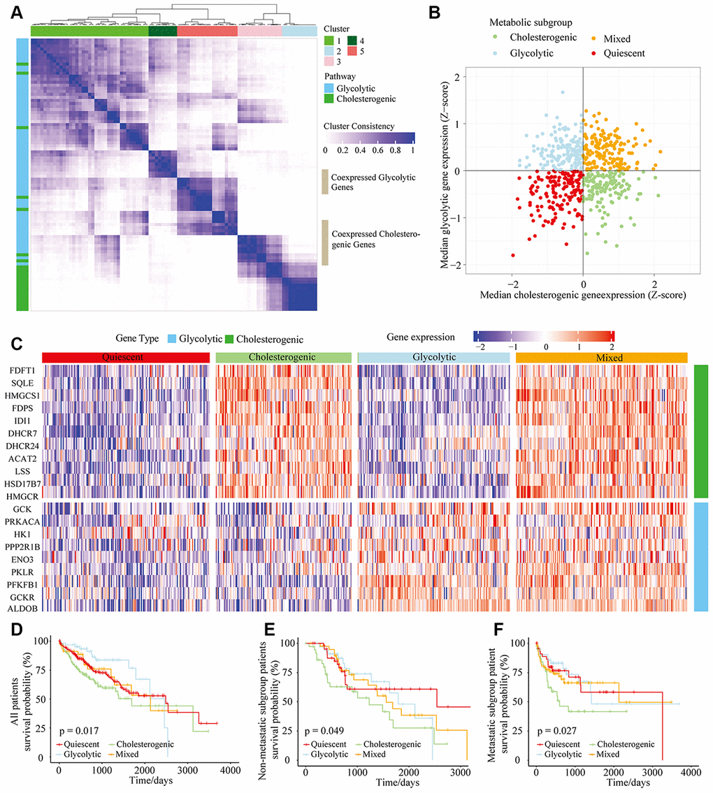 The metabolic gene landscape of HCC based on glycolytic and cholesterogenic clusters. (A) Heat map of consensus clustering (k=5) for glycolytic and cholesterogenic genes in resected and metastatic LIHC samples (n=610). (B) Scatter plot of the median levels of co-expressed glycolytic (x-axis) and cholesterogenic (y-axis) genes in each LIHC sample. Metabolic subgroups were assigned based on the relative levels of glycolytic and cholesterogenic genes. (C) Heat map of differential gene expression patterns in glycolytic and cholesterogenic gene clusters across subgroups. (D) Kaplan-Meier survival analyses of patients with all subtypes of LIHC; the log-rank test p value is shown. (E) Overall survival analyses in the metastatic subgroup of LIHC patients; the log-rank test p value is shown. (F) Overall survival analyses in the non-metastatic LIHC cohort; the log-rank test p value is shown.
