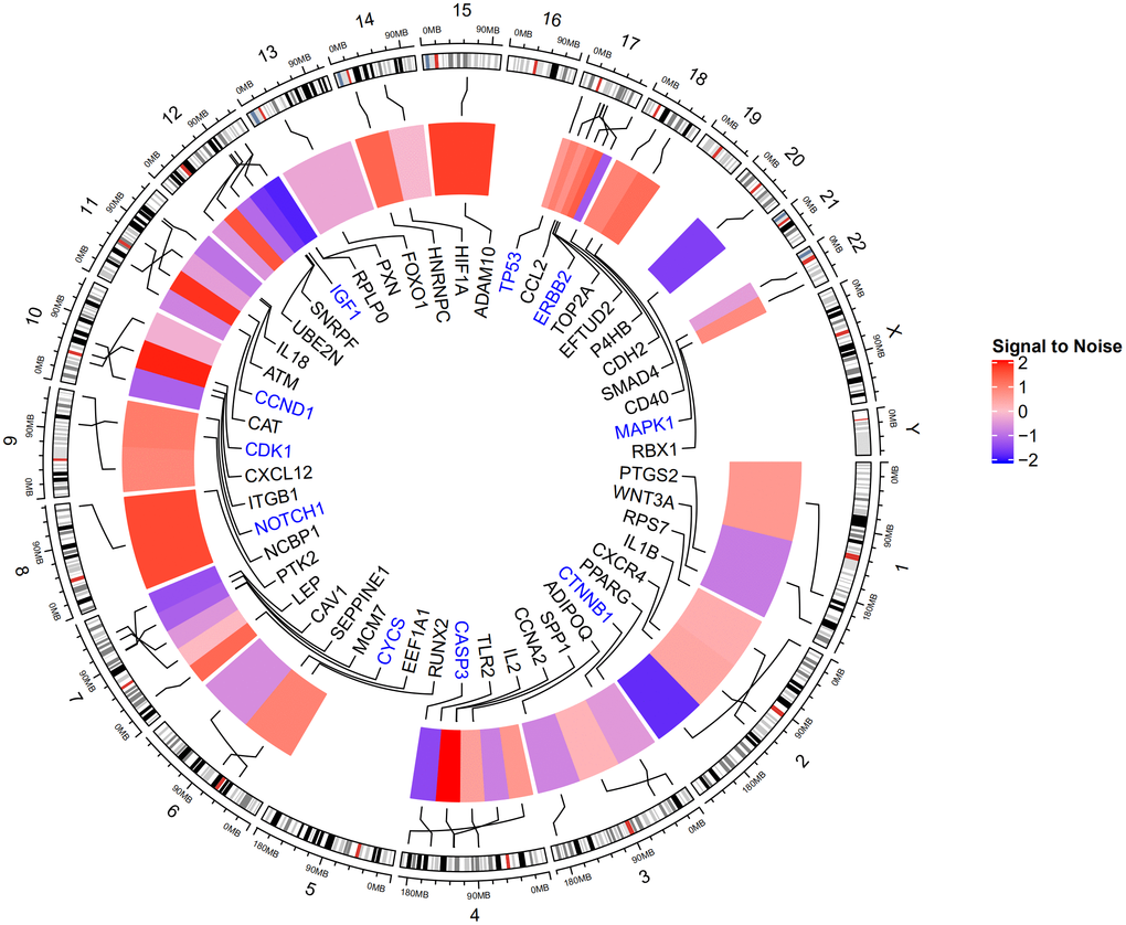 Expression of top 50 genes based on degree score from the 6 modules and their positions on chromosome. The hub genes TP53, MAPK1, CASP3, CTNNB1, CCND1, NOTCH1, CDK1, IGF1, ERBB2, and CYCS are highlighted in blue. TP53, MAPK1, and CASP3 are located on chromosomes 17, 22, and 4, respectively.