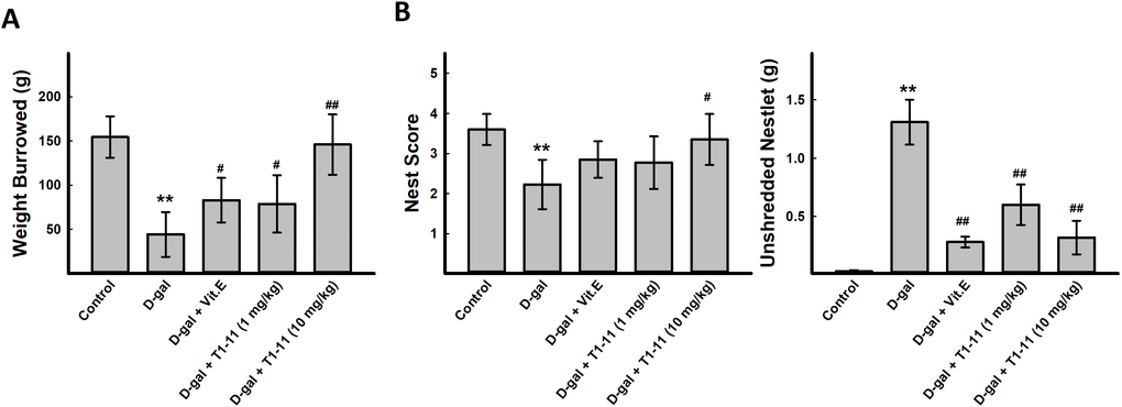 T1-11 ameliorates behavior deficits in D-gal-induced aging mice. The tasks of burrowing (A) and nesting (B) were performed after treatment. Data are mean±SEM (n = 6). Significant difference between control and D-gal-induced aging mice is indicated by * p p p p 