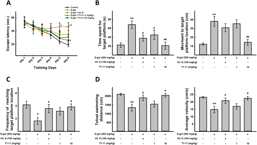 T1-11 improves spatial learning, impaired memory, and sport activity decline in D-gal–induced aging mice. For behavioral study, N = 6 mice per group were used. Morris water maze was performed. (A) Mean escape latency time (sec) to reach hidden platform during training session. Time spent in the target quadrant (where the platform was located during the hidden platform training session) during the probe test (B) and number of platform crossings over the previous platform place during the probe test (C) were examined. (D) Total swimming distance and average of swimming speed were examined. Data are mean±SEM (n = 6). Significant difference between control and D-gal-induced aging mice is indicated by * p p p p 
